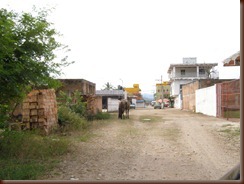 P1120033
