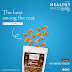 Buy snack nut, cashew Online Or Kaju Online In India -Healthynutzz 