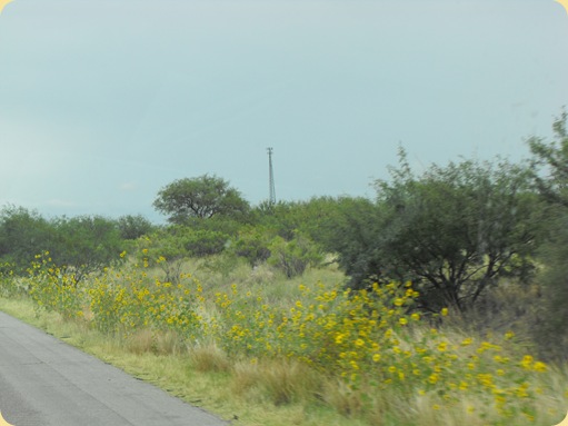Eloy to Anthony TX 054