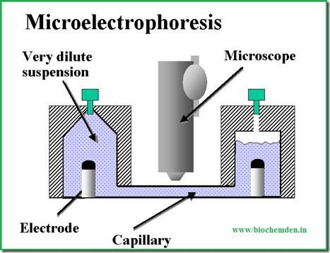 microelectrophoresis