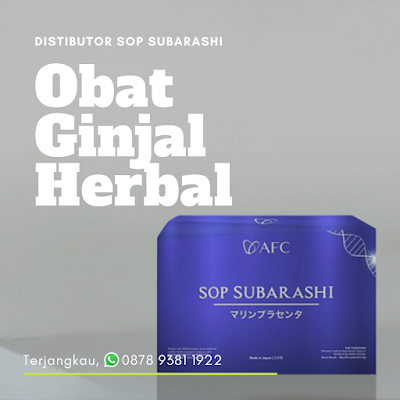 Obat Ginjal Alami Manjur SOP Subarashi, WA 0878 9381 1922