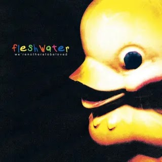 Fleshwater - We’re Not Here to Be Loved Music Album Reviews