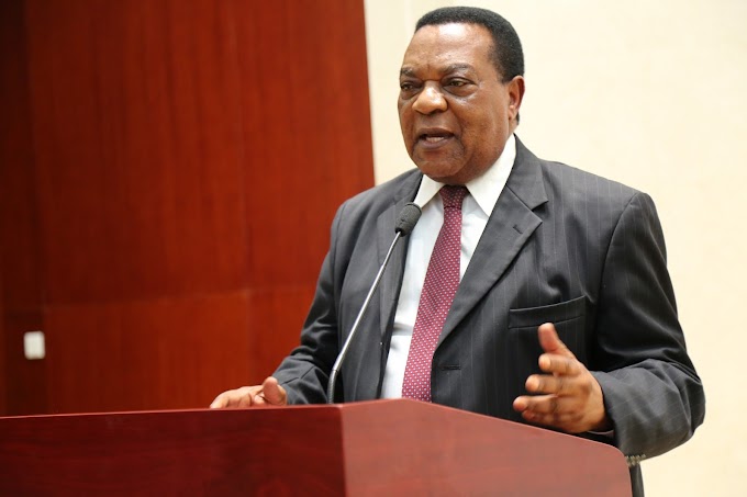 WAZIRI MAHIGA AMTETEA RAIS MAGUFULI KWA KUTOHUDHURIA SHEREHE YA MWAKA YA MABALOZI