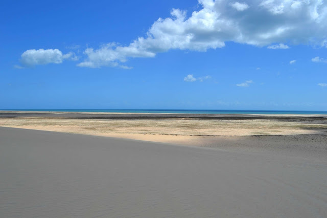 Brésil, Jericoacoara, buggy, hippocampe, dune, tatajuba, mangue seco