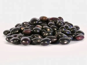 Black beans health benefits