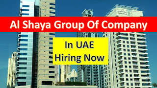 jobs in dubai, jobs in uae, free jobs in dubai, job vacancies in dubai, indeed uae, jobs in dubai for Indians, dubai airport jobs, teaching jobs in dubai, indeed dubai, driver jobs in dubai,