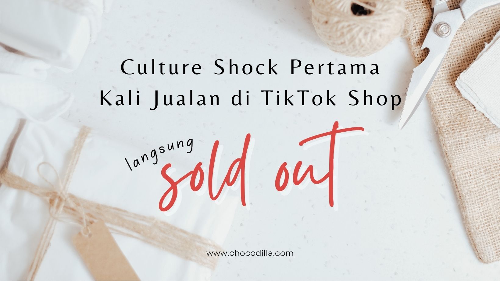 Pengalaman Pertama Kali Jualan di TikTok Shop