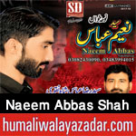 http://www.humaliwalayazadar.com/2017/10/syed-naeem-abbas-shah-nohay-2018.html