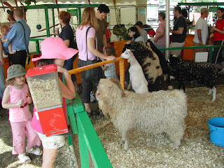 Petting Zoo