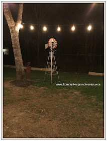 Oak Tree-Landscpaing-Sod Worms-From My Front Porch To Yours