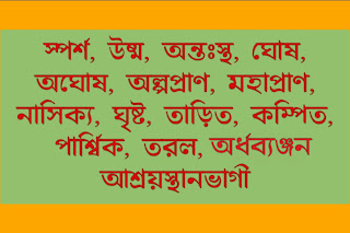 উচ্চারণ অনুযায়ী বিভিন্ন প্রকার ব্যঞ্জনধ্বনি