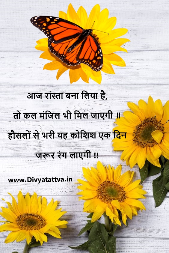 Divyatattva Suvichar Hindi प्रेरणादायक सुविचार हिंदी में , Best HIndi Suvichar, Hindi Motivational Quotes, Hindi Life Quotes By Shri Rohit Anand