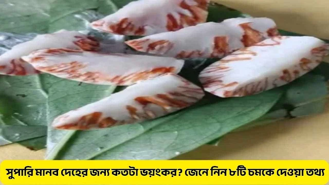সুপারি মানব দেহের জন্য কতটা ভয়ংকর? জেনে নিন ৮টি চমকে দেওয়া তথ্য