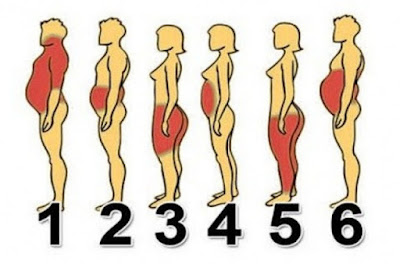 Find out which part of your body is the most fat and how to do it with