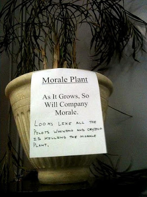 morale plant bad job