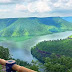 Octopus View Point