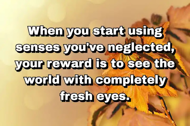 "When you start using senses you've neglected, your reward is to see the world with completely fresh eyes." ~ Barbara Sher