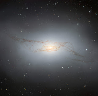 Exploring the Enigmatic Dust Bands of Galaxy NGC 4753
