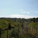 View album