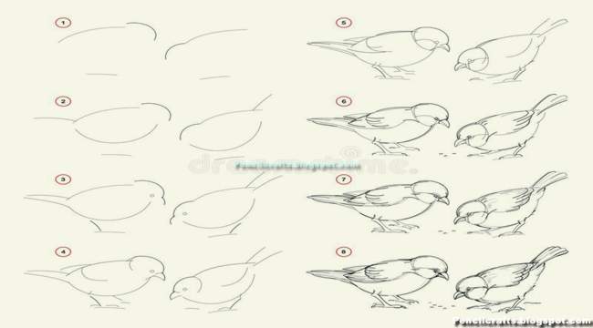 Pencil Drawing Step By Step Face