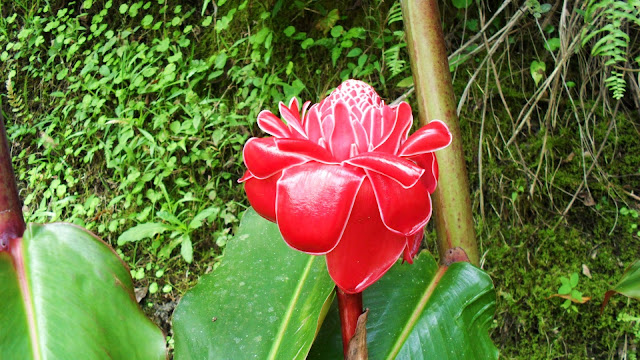 Costa Rica, Cerro chato hike