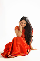 Nikesha Patel in red Saree stills (6)