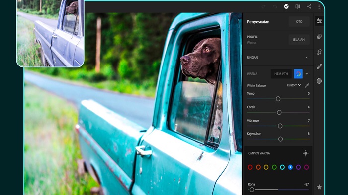 Download Adobe Lightroom Pro MOD APK Full Preset For Android Nuisonk