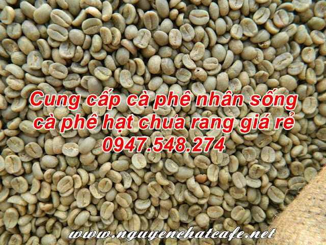 Giá cà phê hạt chưa rang, giá cà phê nhân sống