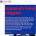 Fetal Doppler di SOlo  ada ga sih