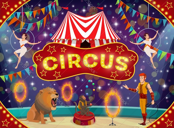 Write Letter to Your Cousin About What Particularly Pleased you at the Circus.