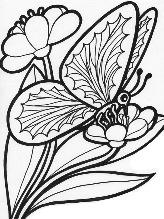 Download Kids Page: Butterfly Coloring Pages | Printable Colouring Pictures for Childrens