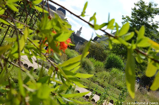 Le Jardin des Plantes by La Nantaise