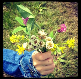 Flowers gift 