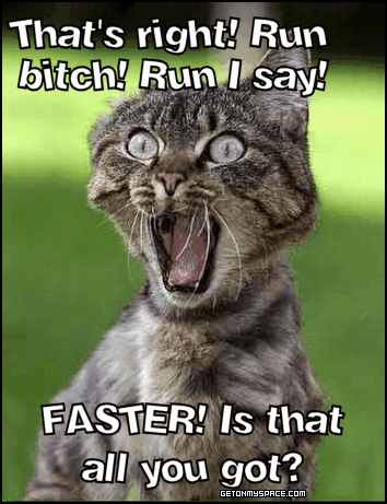 funny quotes for facebook funny quotes on facebook. funny quotes for facebook