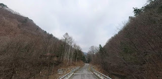 숲속의-집-가는-길