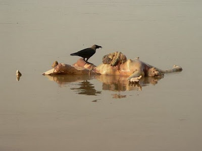 Sacred INDIAN RIVER Ganges