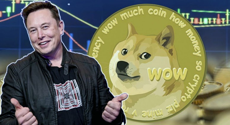 Elon Musk responds to the Dogecoin creator's claim that he struggled with coding: 'When my kids were 12, they wrote better code