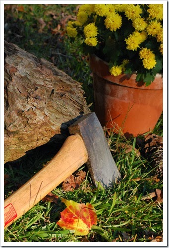 lightered stump and mums