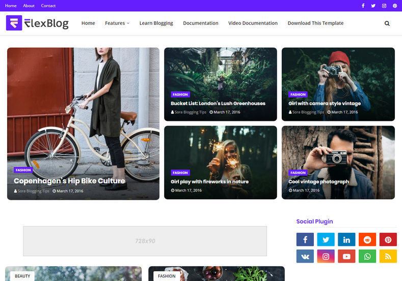 FlexBlog Template
