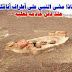 هل تعلم لماذا مشى النبي على أطراف أصابعه عند دفن خادمه ثعلبه ؟