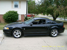 Black Mustang