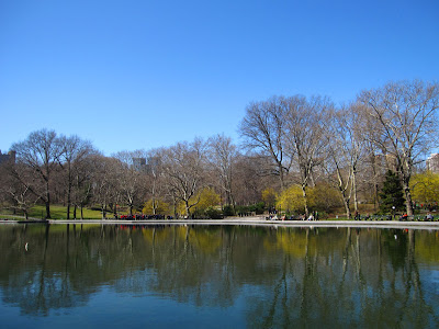 central park. on central Park South.