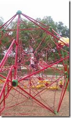 IMAG2449