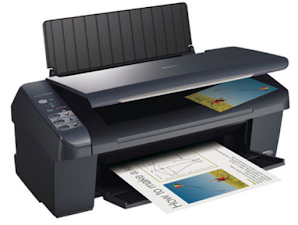 Epson Stylus DX4450