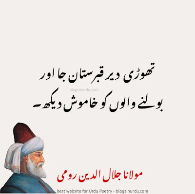 Rumi Quotes in Urdu