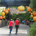 Free Concerts, And The Great Pumpkin LumiNights Await  At Dollywood's Harvest 