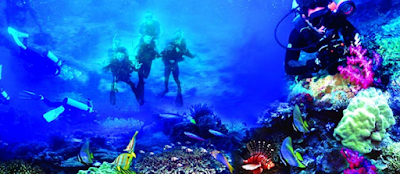 Pesona Taman Laut Manado - Wisata Bunaken