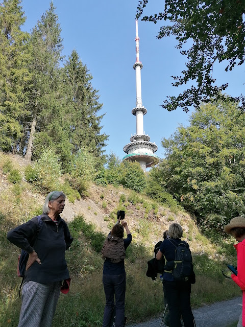 Sauerland wandern Wetter blog Schmallenberg Hunau