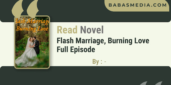 Read Flash Marriage, Burning Love Novel / Synopsis