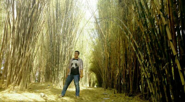 Hutan bambu surabaya, lokais spot foto hits dan instagrambake